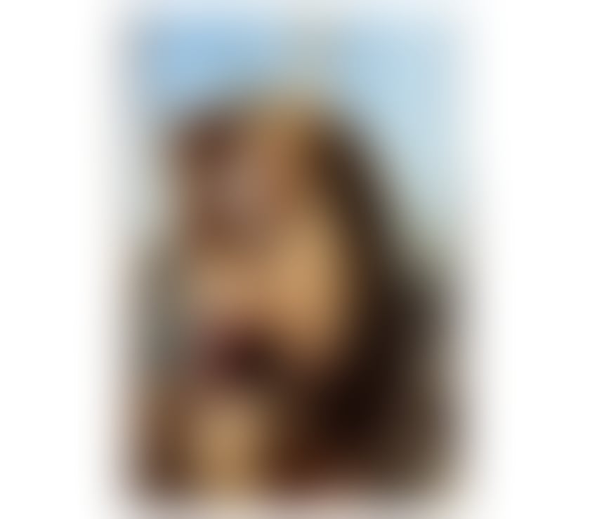 Escorts South West London Sutton - Photos for SOFIA 🍀✨ HOT BRAZILIAN 🇧🇷