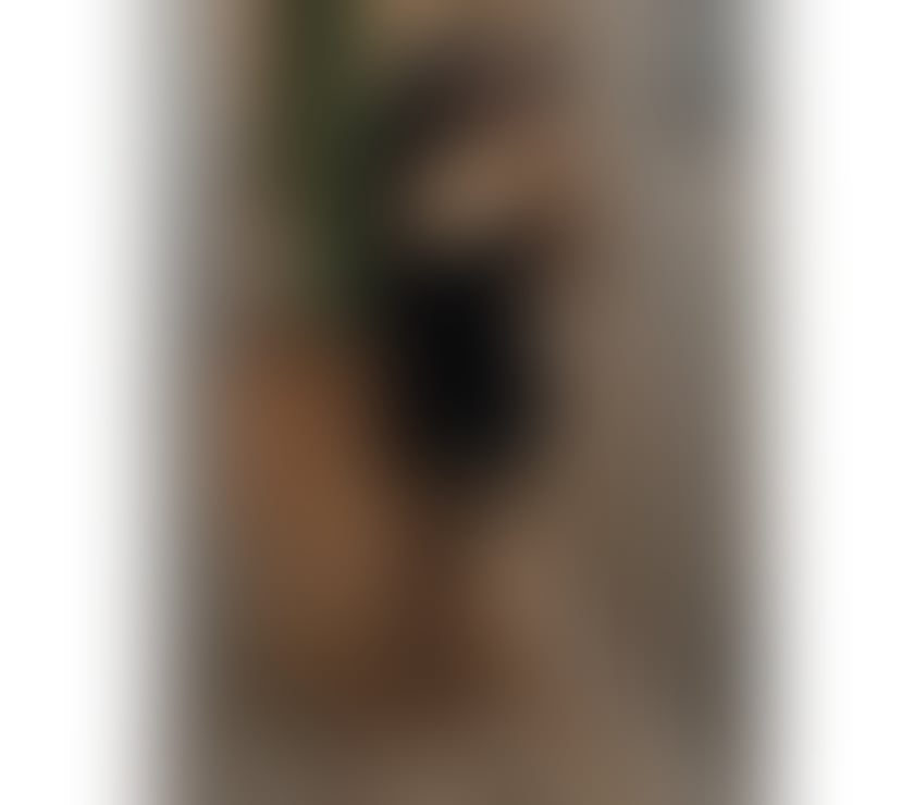 Escorts Somerset Yeovil - Somerset - Photos for 🦋STUNNING LATINA🦋LUXURY SERVICES✨FULL GFE & PARTY