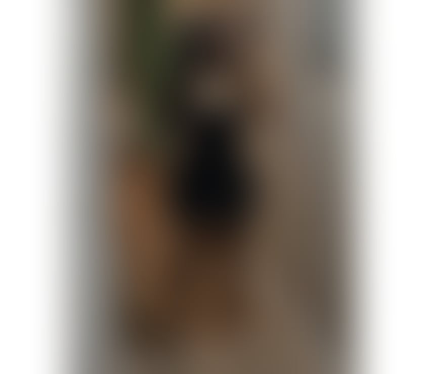 Escorts Somerset Yeovil - Somerset - Photos for 🦋STUNNING LATINA🦋LUXURY SERVICES✨FULL GFE & PARTY