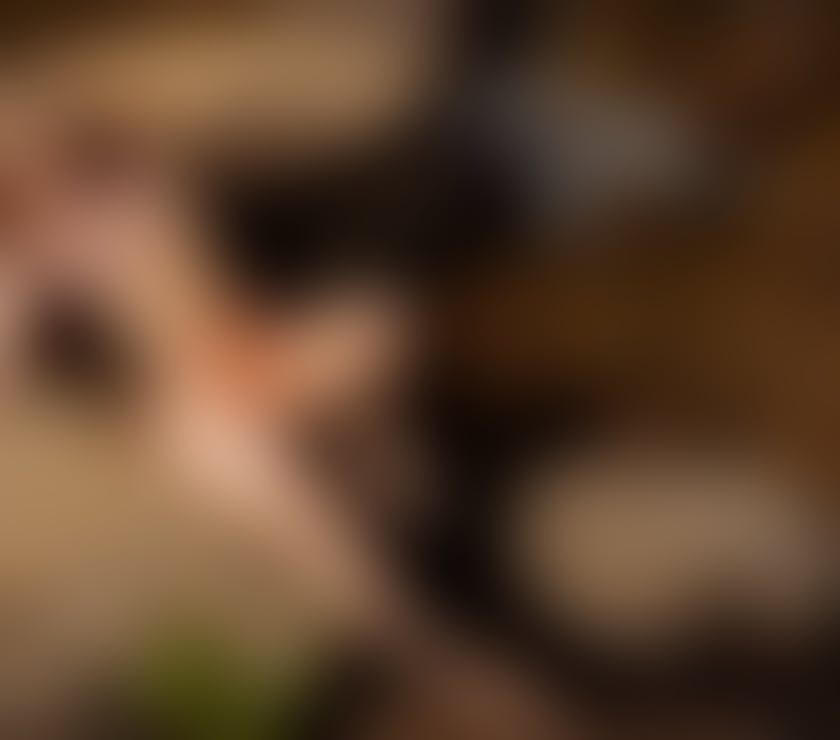 Escorts South West London Battersea - South West London - Photos for 🩷🇧🇷😈 RAFAELA BRAZILIAN Girl 🫶🔥❤️