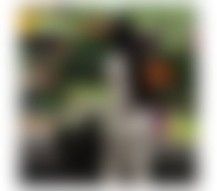 Escorts South West London Kingston upon Thames - Photos for NICOLE PARTY GIRL 🍾🔥 call me now 🔥 ✅