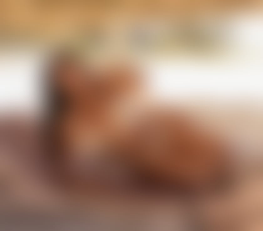 RUNCORN WA7 🔥HOT SEXY SWEET EBONY 🔥 FULL GFE😍