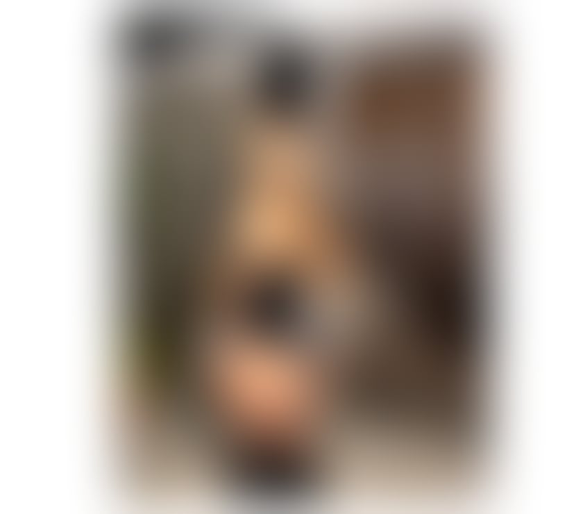 Escorts Shropshire Shrewsbury - Shropshire - Photos for 👑A Sweet Red Dream in Croydon💋Sensual & Playful 💎