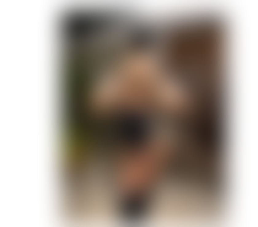 Escorts Shropshire Shrewsbury - Shropshire - Photos for 👑A Sweet Red Dream in Croydon💋Sensual & Playful 💎