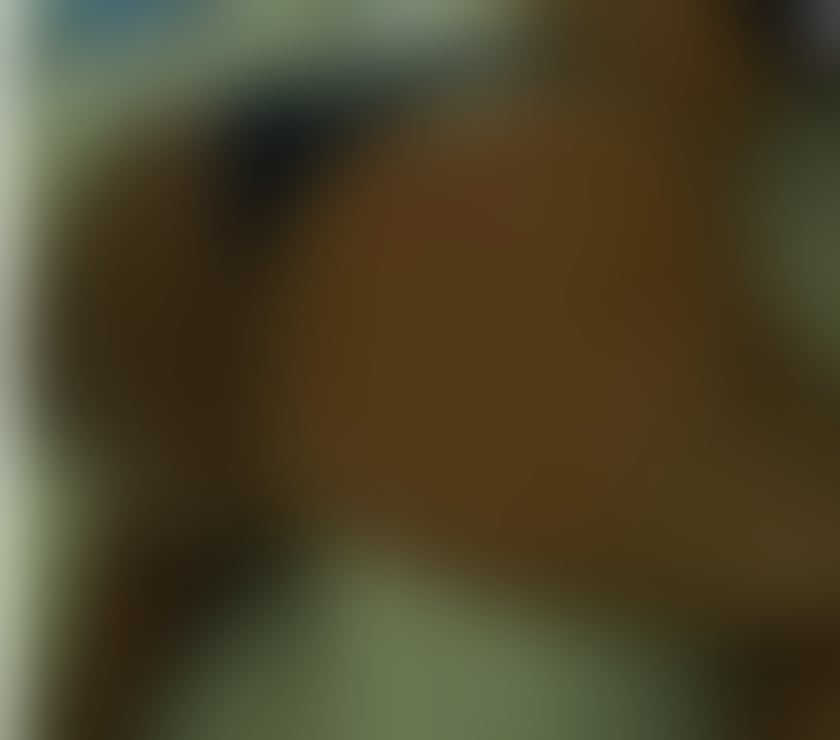 Escorts Bradford City Centre Bradford - Photos for Eva 🌹 Black African 🖤