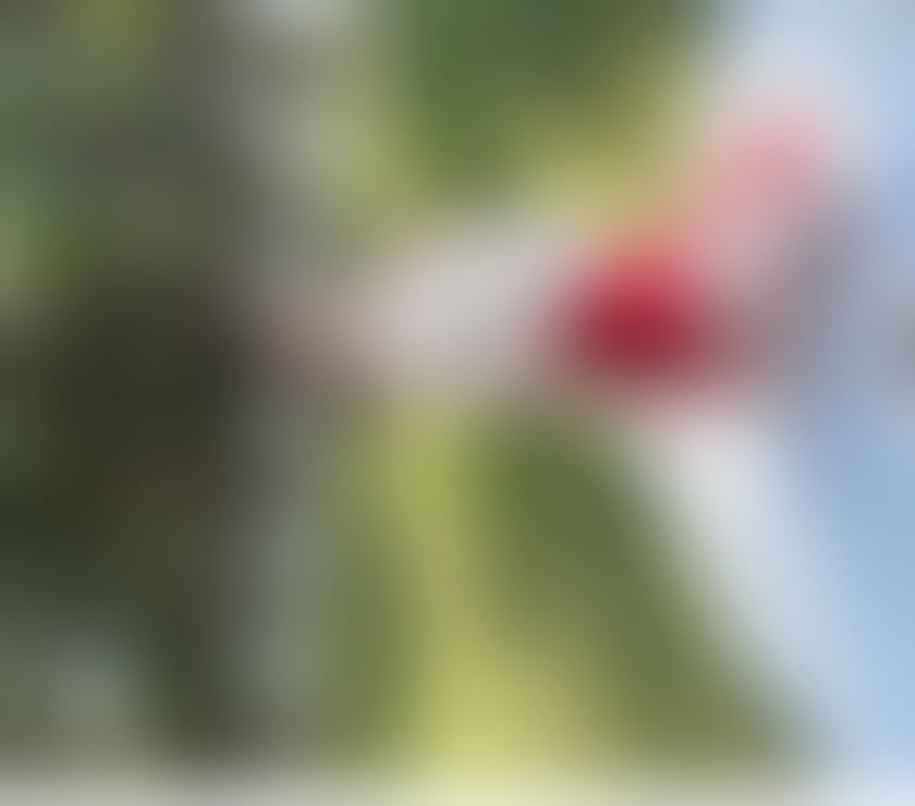 Escorts Corby North Northamptonshire - Photos for ☎️ Call me,✨Real existence🤙