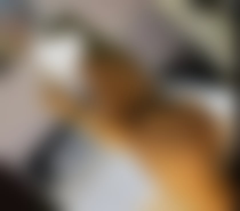  Escorts & Erotic Massage Dartford Town Centre Dartford - Photos for 😍💋❤️Best service in your town 👌🏻🥵🥵