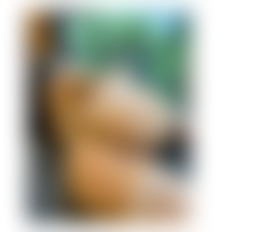 Escorts Greater Manchester Manchester - Photos for LOREN PARTY GIRL 🍾🇧🇷💯REAL GIRL FULL