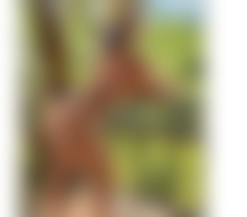 Escorts Somerset Bridgwater - Somerset - Photos for 🍑24hrs 🎉🎉 Party🍆Hot Girl🍑