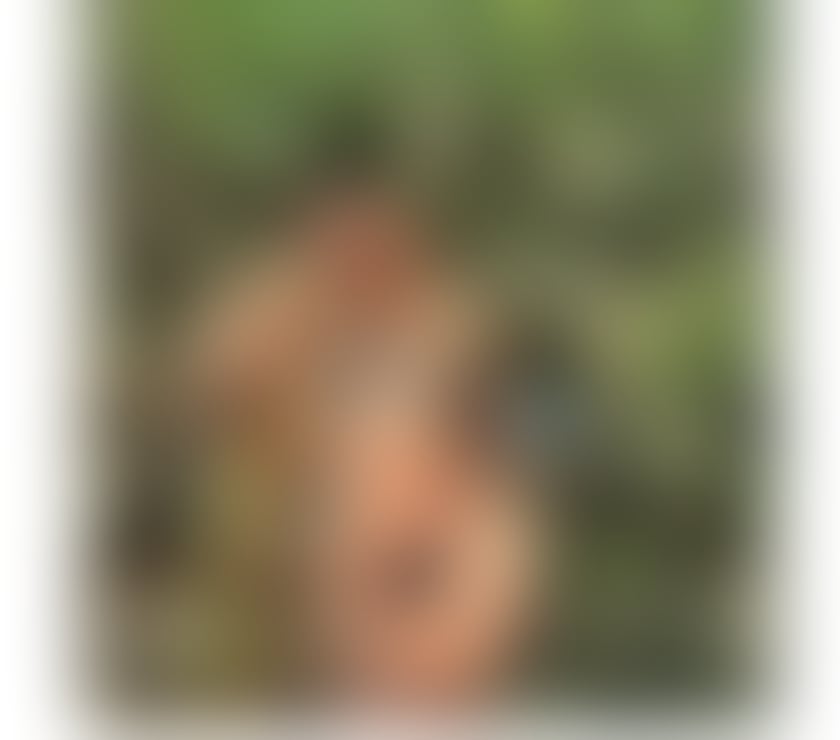 Escorts North West London Brent Cross - North West London - Photos for HOT 🔥 BRAZILIAN🇧🇷24h PARTY