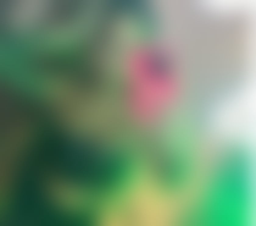 Escorts Devon Exeter - Photos for New Cute Girls full Service Escort Massage