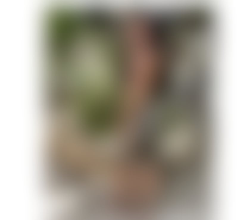 Escorts North London Seven Sisters Station - North London - Photos for 💞The Peruvian at your service 💞