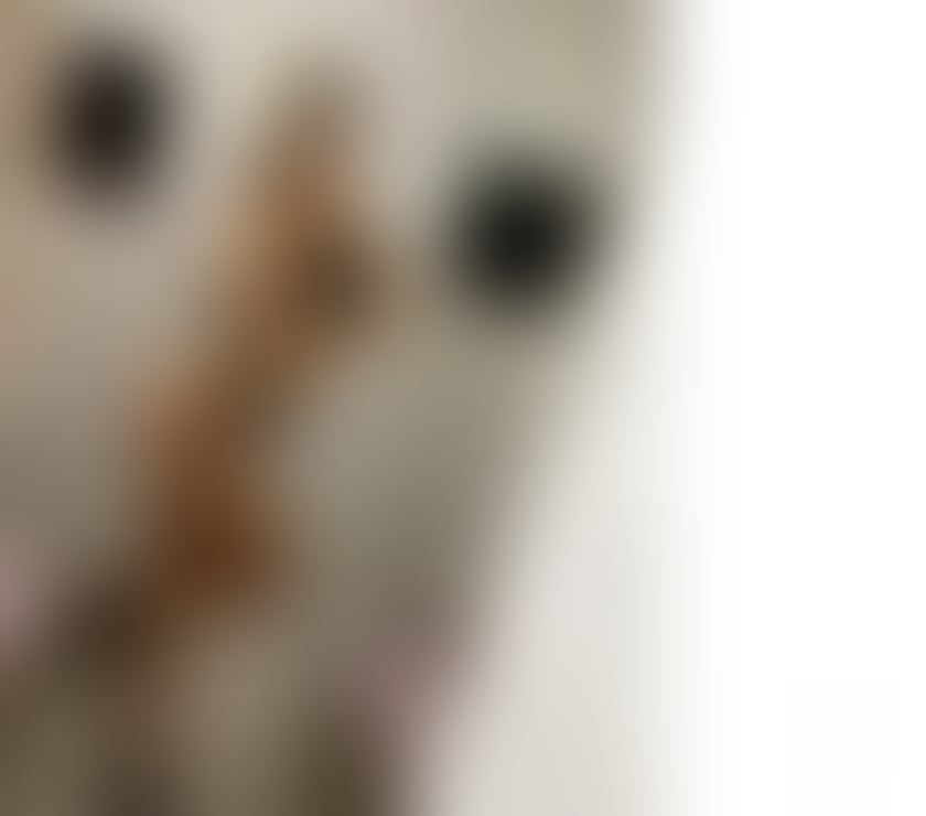 Escorts West Yorkshire Bradford - Photos for Deea Best serivice