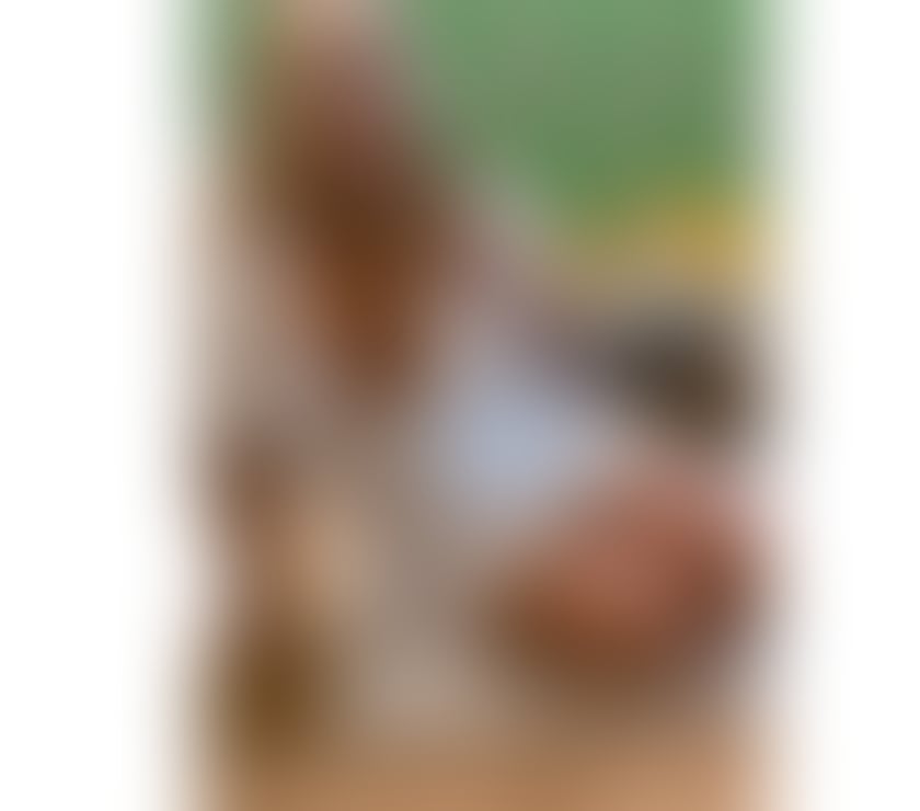 Escorts Hampshire Rushmoor - Photos for Maggi Busty Milf Aldershot this week 😜😗