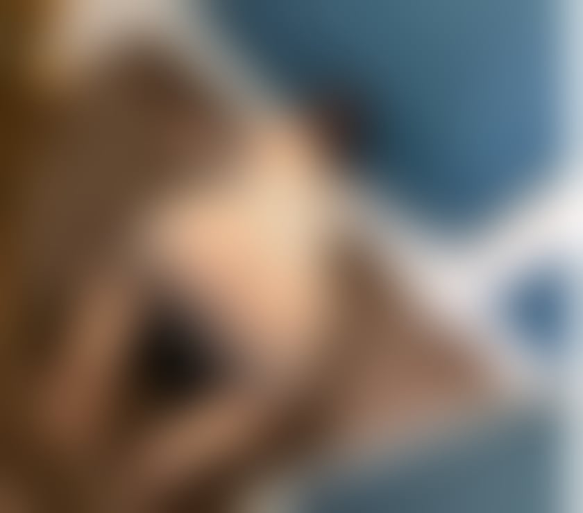 Escorts County of Herefordshire Hereford - County of Herefordshire - Photos for Maria, new curvy girl. Party🥳🎉