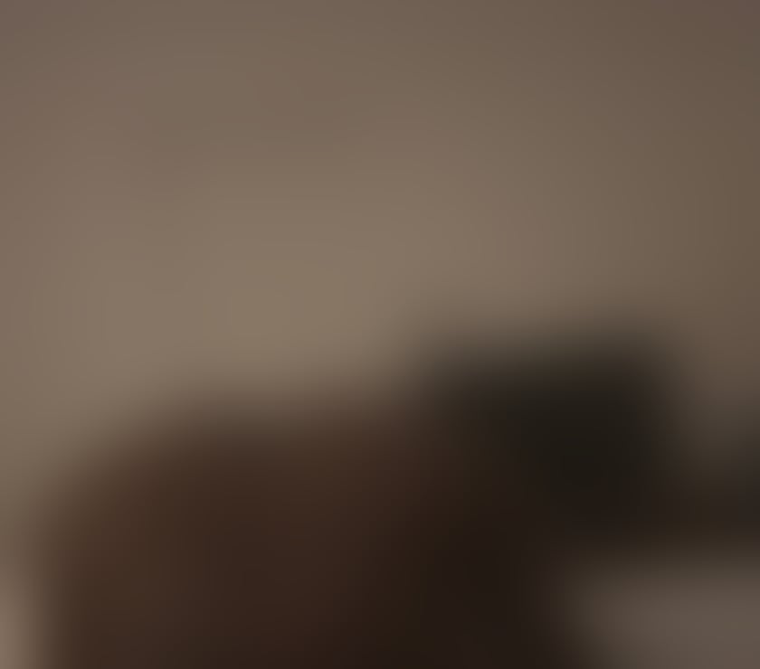 Escorts West Midlands Dudley - Photos for Big ass ebony 👅👅👅🍑🍑🍆