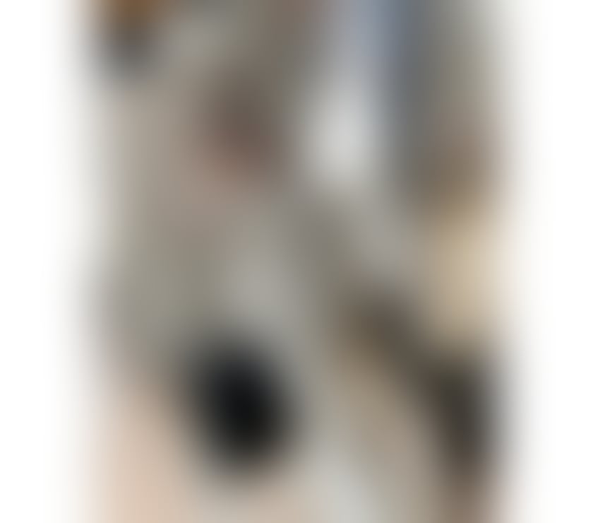 Escorts Hertfordshire Stevenage - Photos for Kim real photo 💯 no rush service