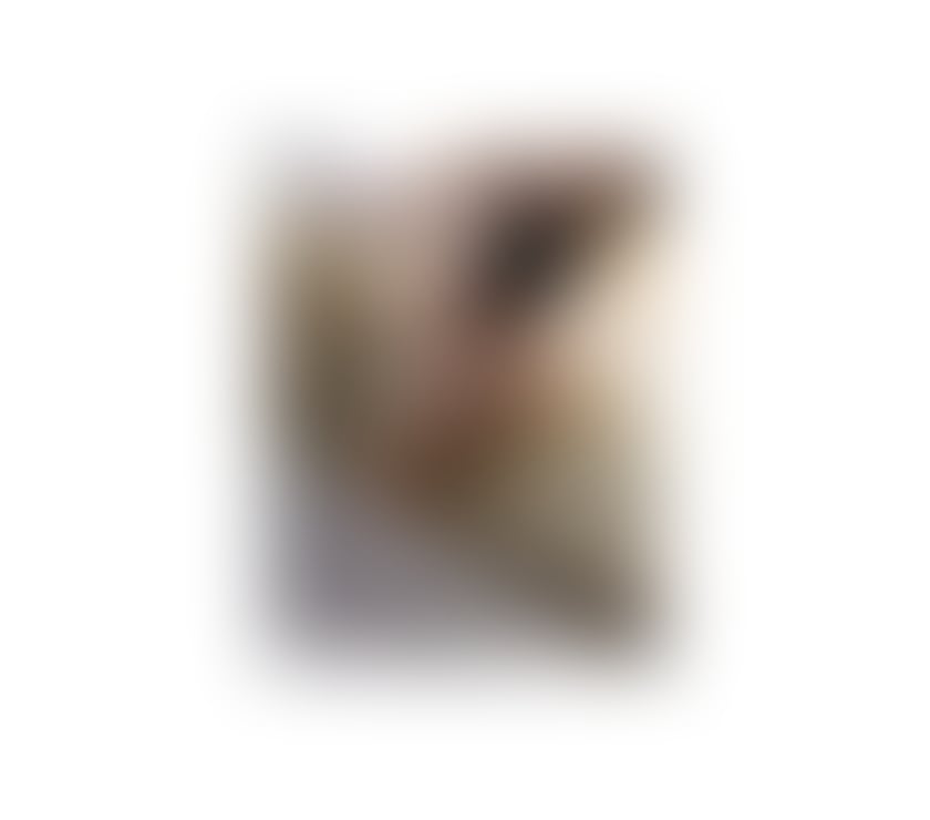 Escorts Ferniegair South Lanarkshire - Photos for Hi Im Francesca new in town