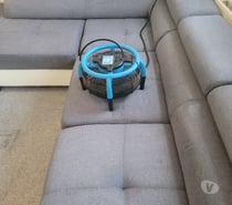 Free Carpet cleaning for a discrete lady