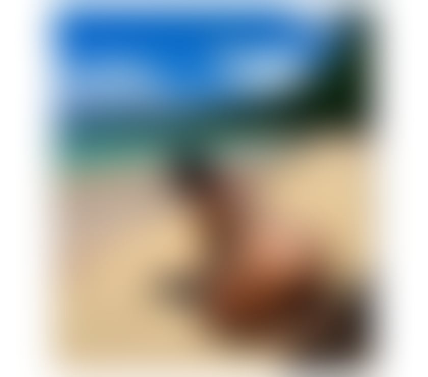 Escorts Conwy Llandudno - Conwy - Photos for HOT BRAZILIAN 🇧🇷🔥