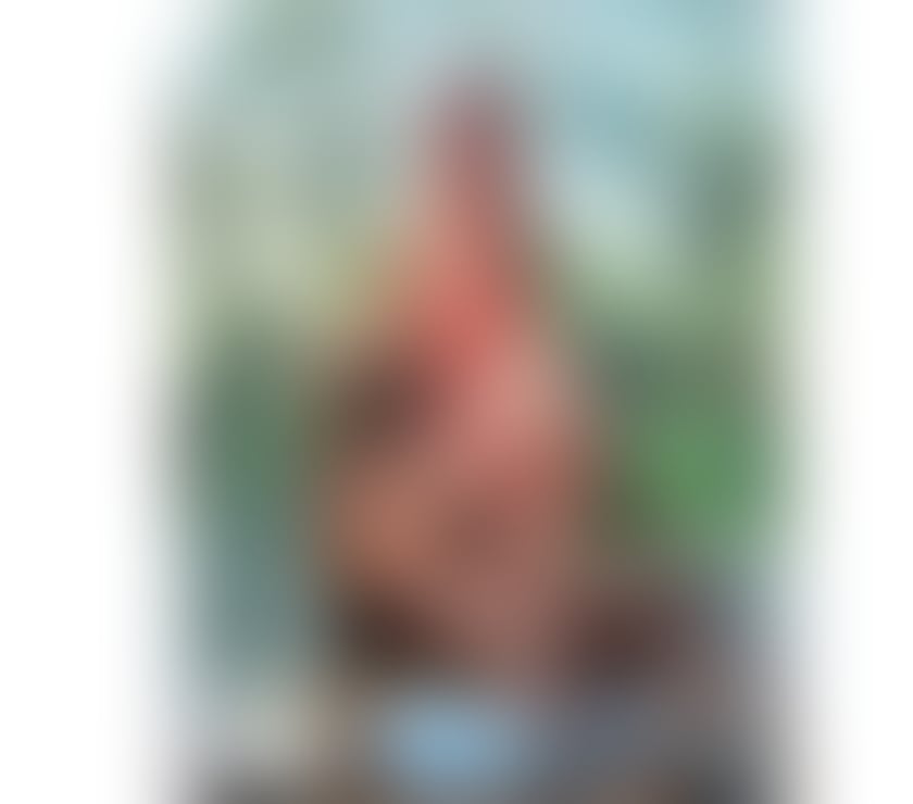 Trans Escorts Tyne and Wear Newcastle upon Tyne - Photos for BRAZILIAN SEXY TRANS