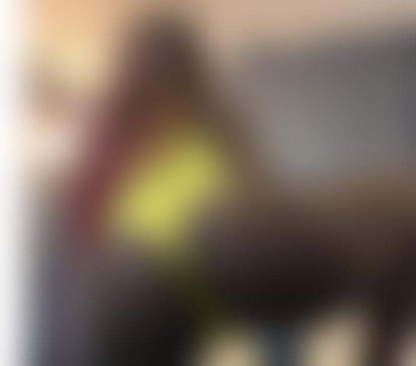 Escorts South West London Gloucester Road - South West London - Photos for Private Luxury Companion