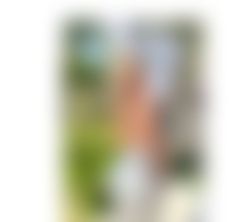 Escorts North West London Neasden - North West London - Photos for NEW HERE 💋 HIGHCLASS PERFECT SERVICES 🇧🇷