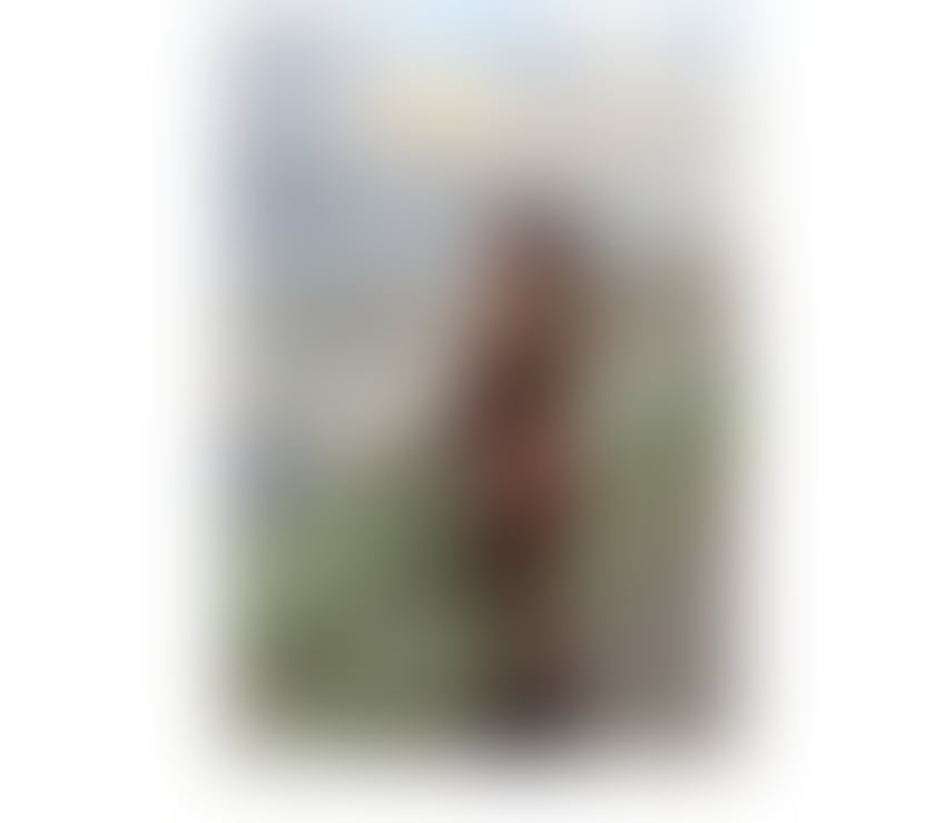 Dany Blondie🇧🇷💥🥳❣️New Cambridge