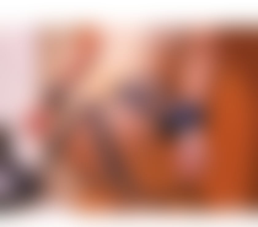 Escorts Somerset North Somerset - Photos for Bruna sexy Brazilian ☎️🇧🇷🔥