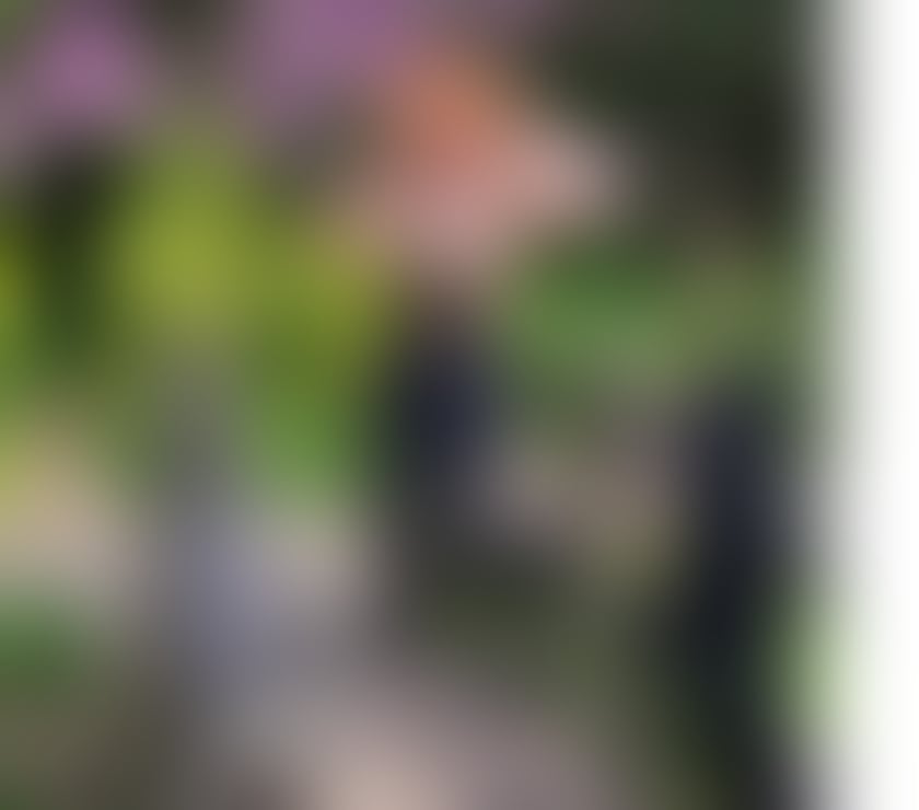 Escorts South West London Kingston upon Thames - Photos for EVE SECRETARY, DOMINATRIX PARTY🇪🇸🍾💄