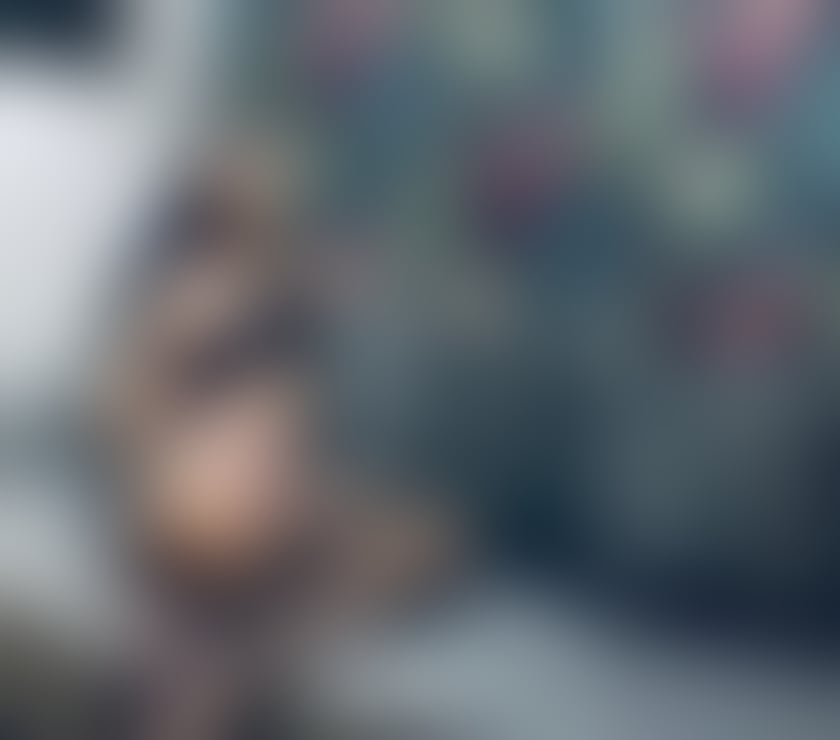 Trans Escorts Warwickshire Rugby - Photos for LADYBOY IN YOUR TOWN PARTY ON