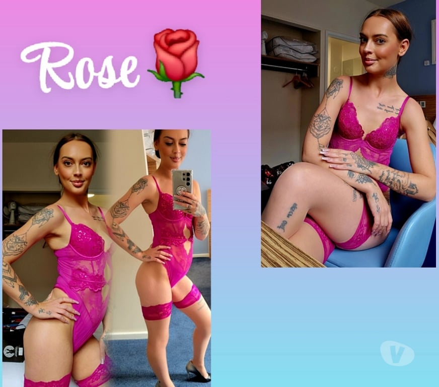 Escorts West Yorkshire Leeds - Photos for White British Rose 🌹 07300647789