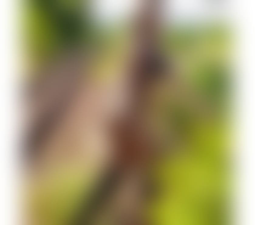 Escorts Essex Basildon - Photos for New in city serei girl. GABRIELA🍑🇧🇷PartyGirl