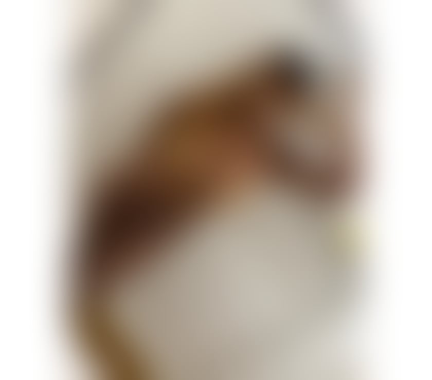 Trans Escorts Windsor and Maidenhead Windsor Castle - Windsor and Maidenhead - Photos for Ts yara brasilian hot brasilian 🔥🔥