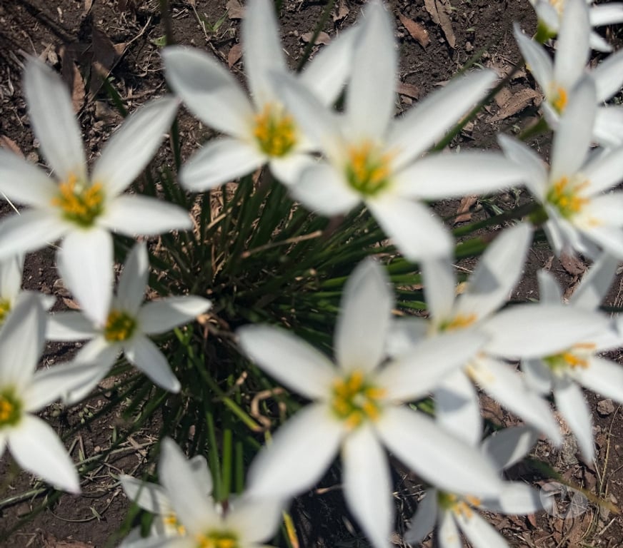 Escorts Cheshire East Handforth - Cheshire East - Photos for Sensual Tantric Experience - Male masseur