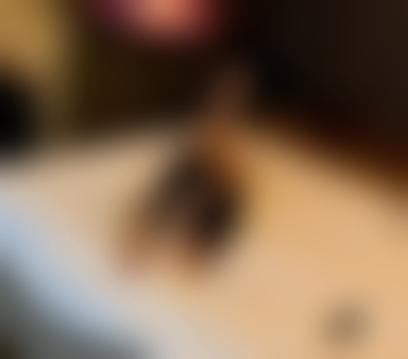 Escorts Essex Southend-on-Sea - Photos for BEST SERVICE ❤️ ELEGANT ❤️ FULL ADVENTURE ❤️