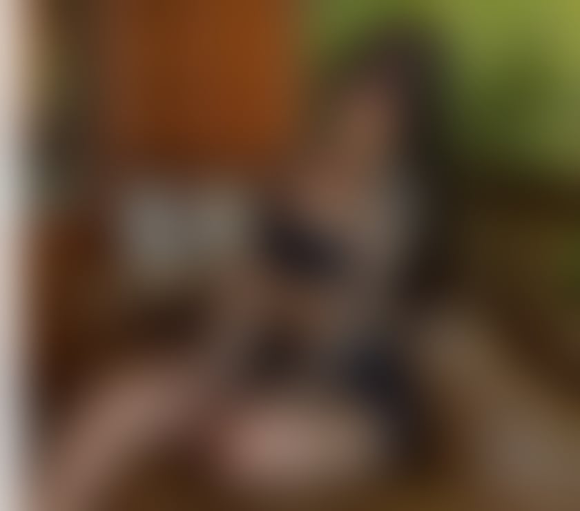 Escorts North West London Wembley Park - North West London - Photos for Ana 🇧🇷 Hot girl 🆕 party 🎉 no rush