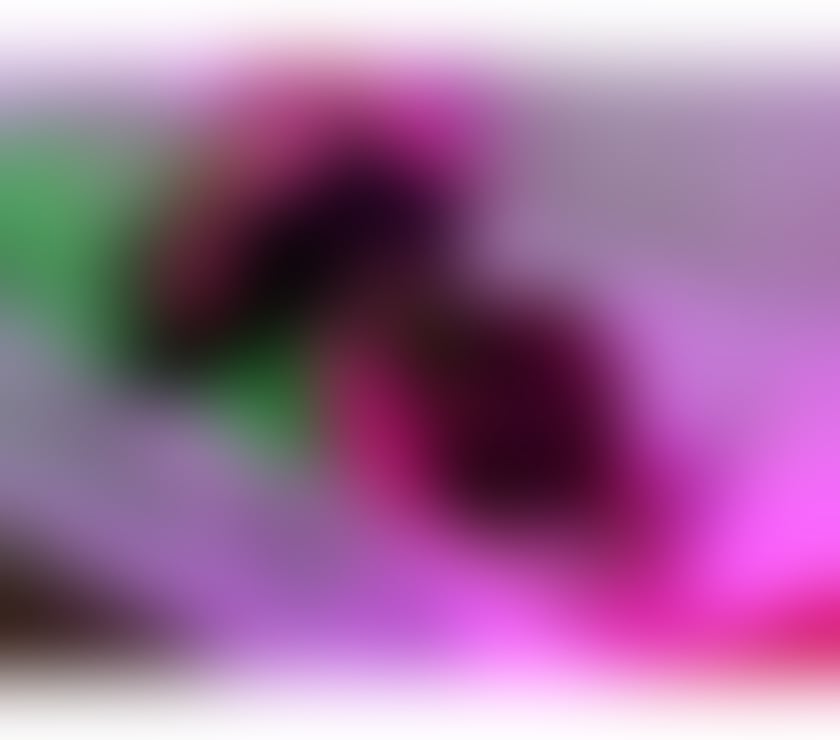 Trans Escorts West Midlands Birmingham - Photos for 💞 SWEET ALEXA - BEST SERVICE EVER 💞