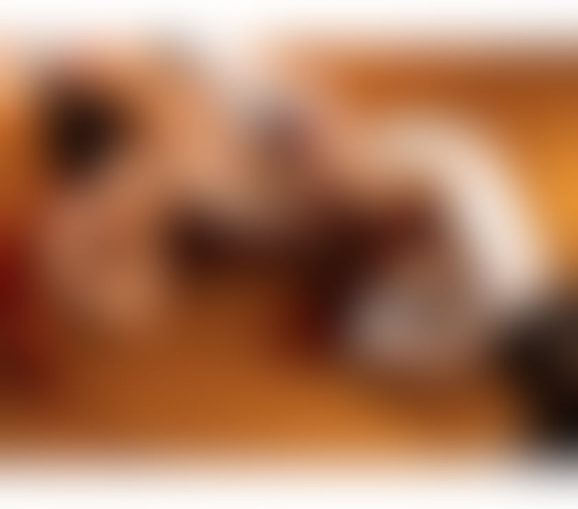 Escorts Aberdeen Torry - Aberdeen - Photos for 🔥HOT Eva Thai Massage and Escort 🔥Real Picture 100%