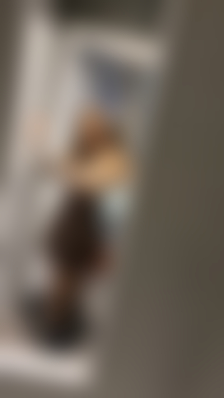 Escorts South Yorkshire Doncaster - 