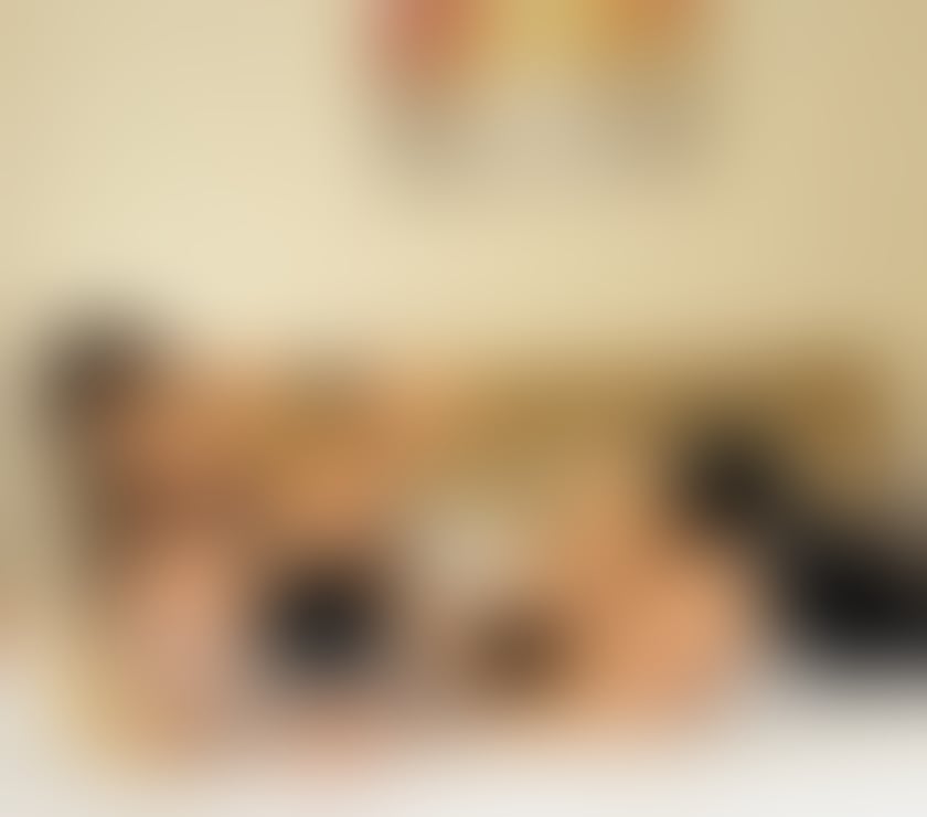 Escorts Shropshire Telford and Wrekin - Photos for 💫Helena Castro🇧🇷 GFE🌺