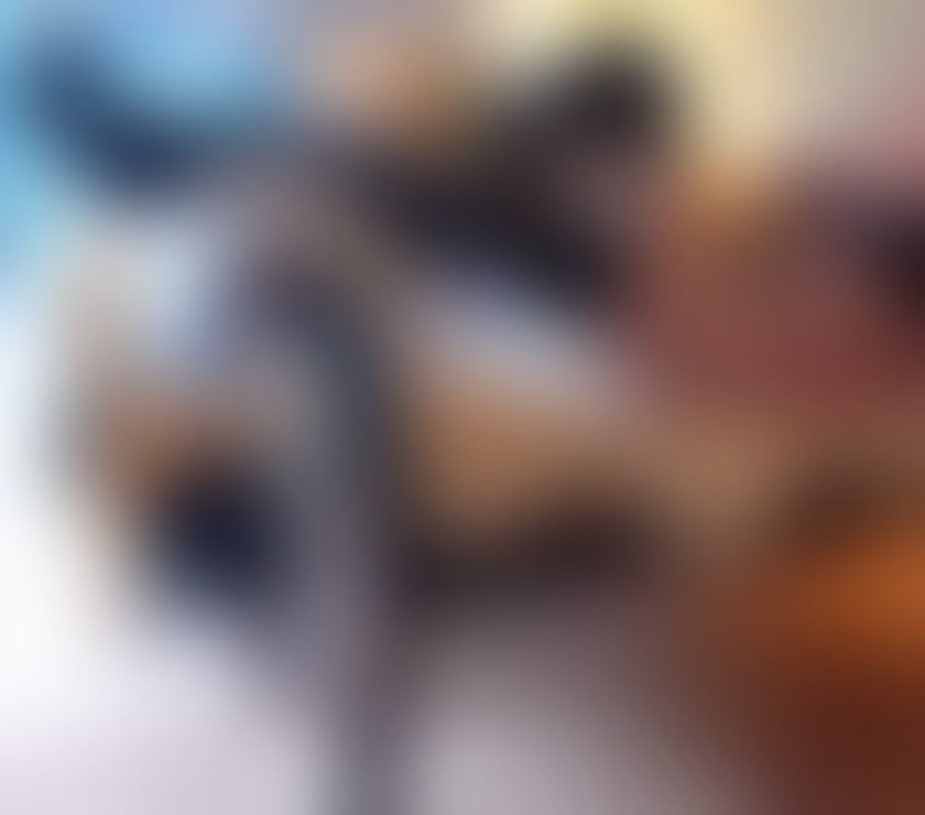 Escorts Cheshire West and Chester Northwich - Cheshire West and Chester - Photos for STUNNING BRITISH BLONDE