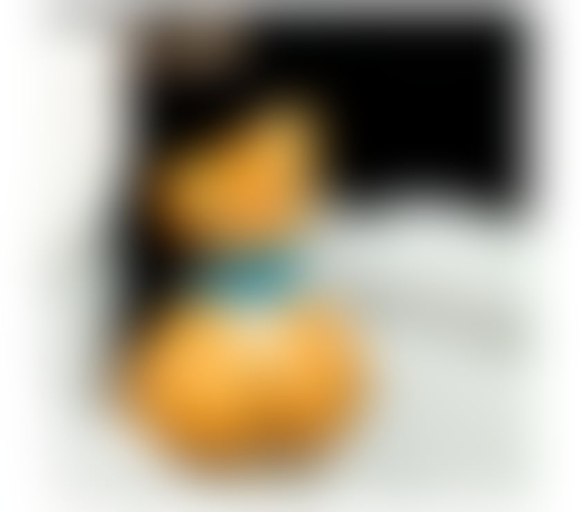 Escorts Tyne and Wear Newcastle upon Tyne - Photos for NEW HOT SEXY LATINA PARTY GIRL💯FULL GFE ❤️