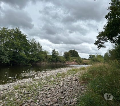 Escorts and Massages Lancaster City Centre Lancaster - Photos for Sexy Karina ❤️❤️❤️❤️ outcalls