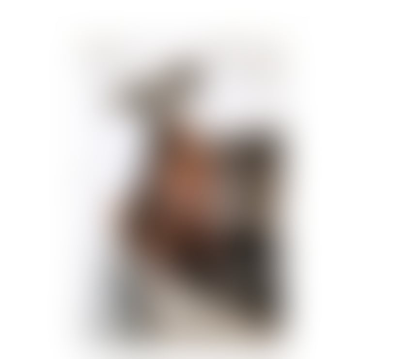 Escorts Nottinghamshire Nottingham - Photos for KELLY ❤️‍🔥🇧🇷 SEXY BRAZILIAN BACK IN TOWN