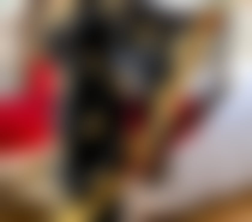 Escorts Lancashire Burnley - Photos for Indian mahi mantra