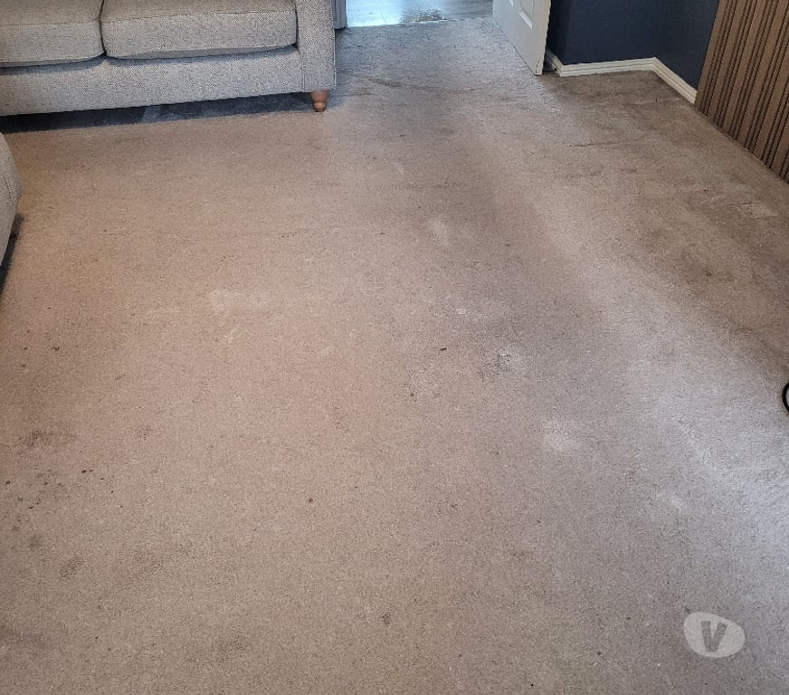 Adult Entertainment Greater Manchester Wigan - Photos for Naughty carpet cleaner