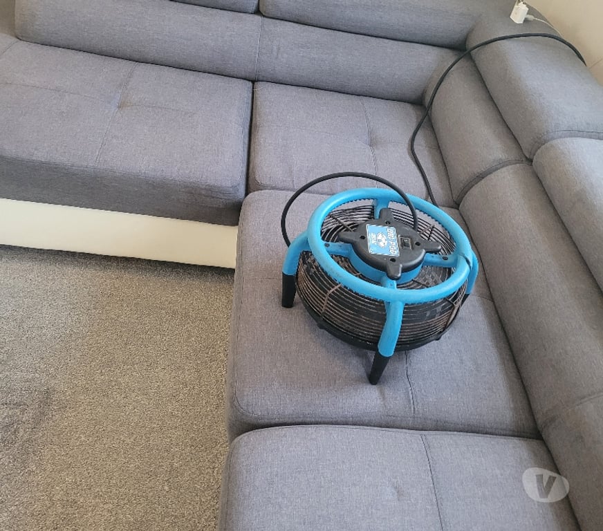 Adult Entertainment Greater Manchester Wigan - Photos for Naughty carpet cleaner