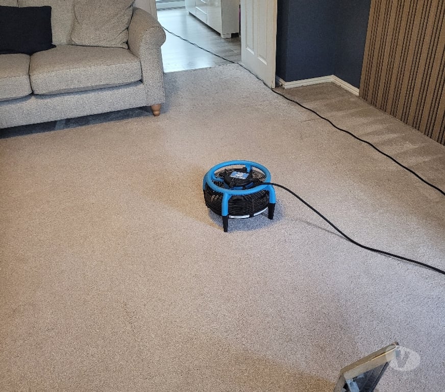 Adult Entertainment Greater Manchester Wigan - Photos for Naughty carpet cleaner