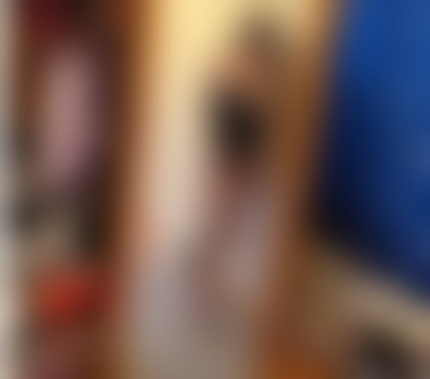 Escorts South Lanarkshire Hamilton - South Lanarkshire - Photos for Hello i am Amelia sexy hot girls no ROSH